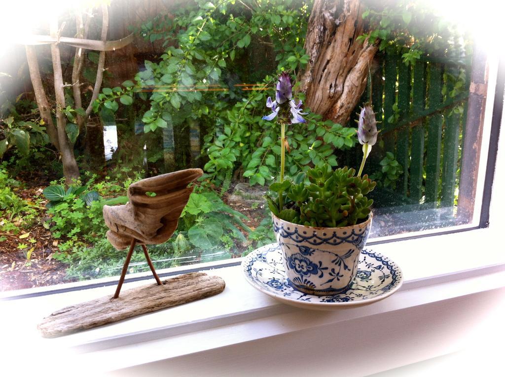Sea Salt Bnb Rosebud Kamer foto
